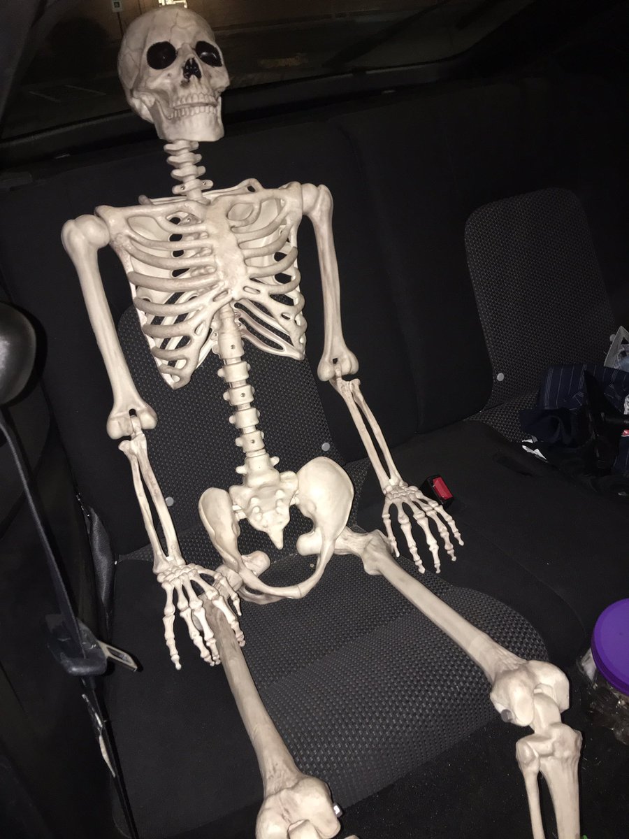 TheCurlyDrummer's tweet photo. When you went to the store with your mom as a kid and decided to wait in the car instead https://t.co/xMlqyls6sK