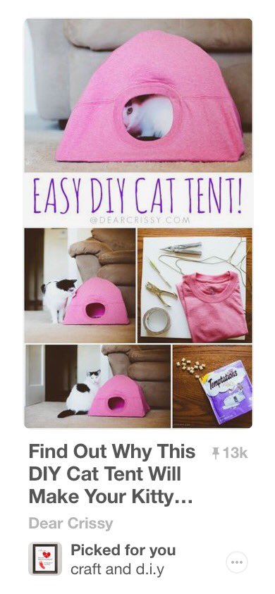 amschem's tweet photo. "Picked for you"?! Pinterest it's like you don't know me at all. #nevercats https://t.co/G7dGwSeQdt