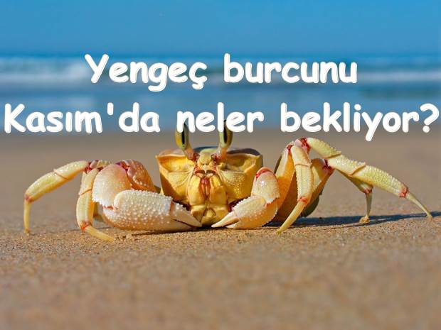 ddermanlar's tweet photo. Yengeç Burcu Kasım 2016 Burç Yorumları Yazı Linki: https://t.co/ZfM01z5i9P https://t.co/5Mol3LRbxw