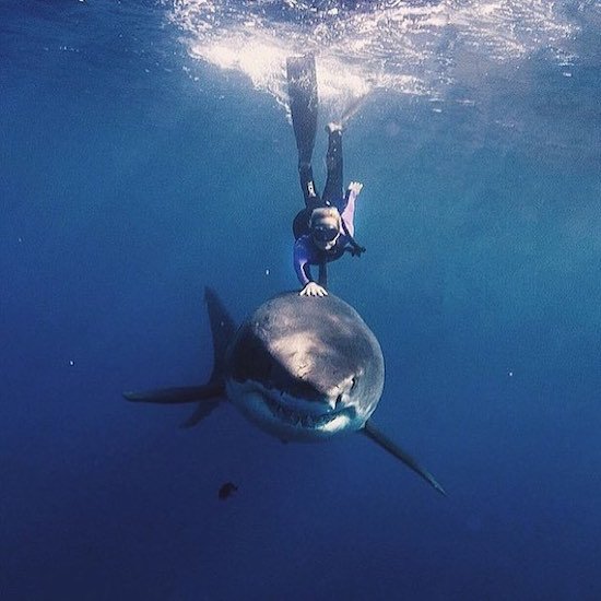 supercuva's tweet image. 