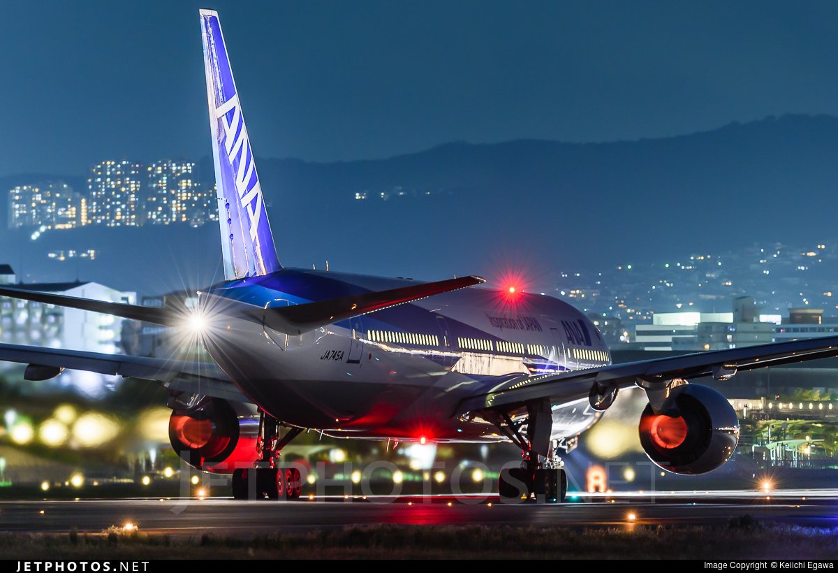 モアナ　チロスケ　様 モアナのとこに遊びに行く準備🦀🦅🌺
