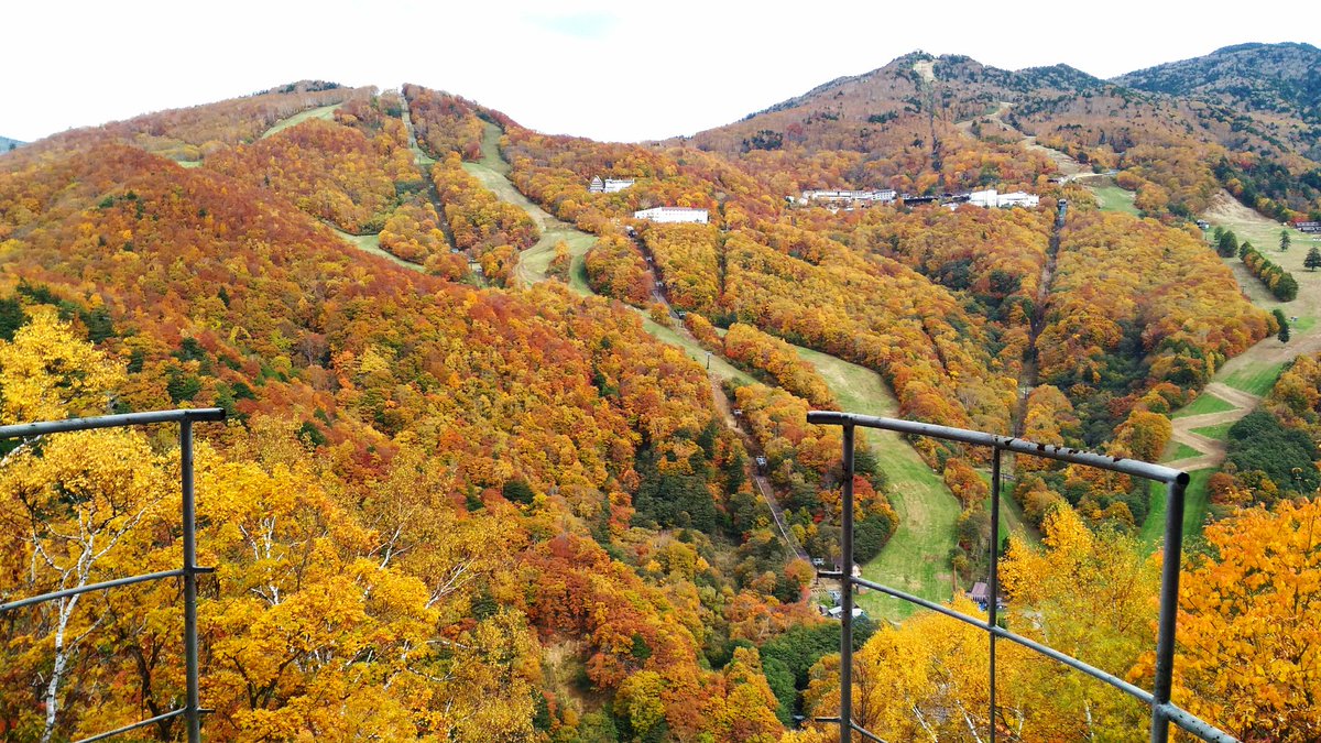 志賀高原 Shiga Kogen 蓮池から見る紅葉が見頃 志賀高原 Shigakogen 発哺温泉 ほっぽおんせん 東館山 西館山 紅葉 T Co Fiqpuw6vl2 Twitter