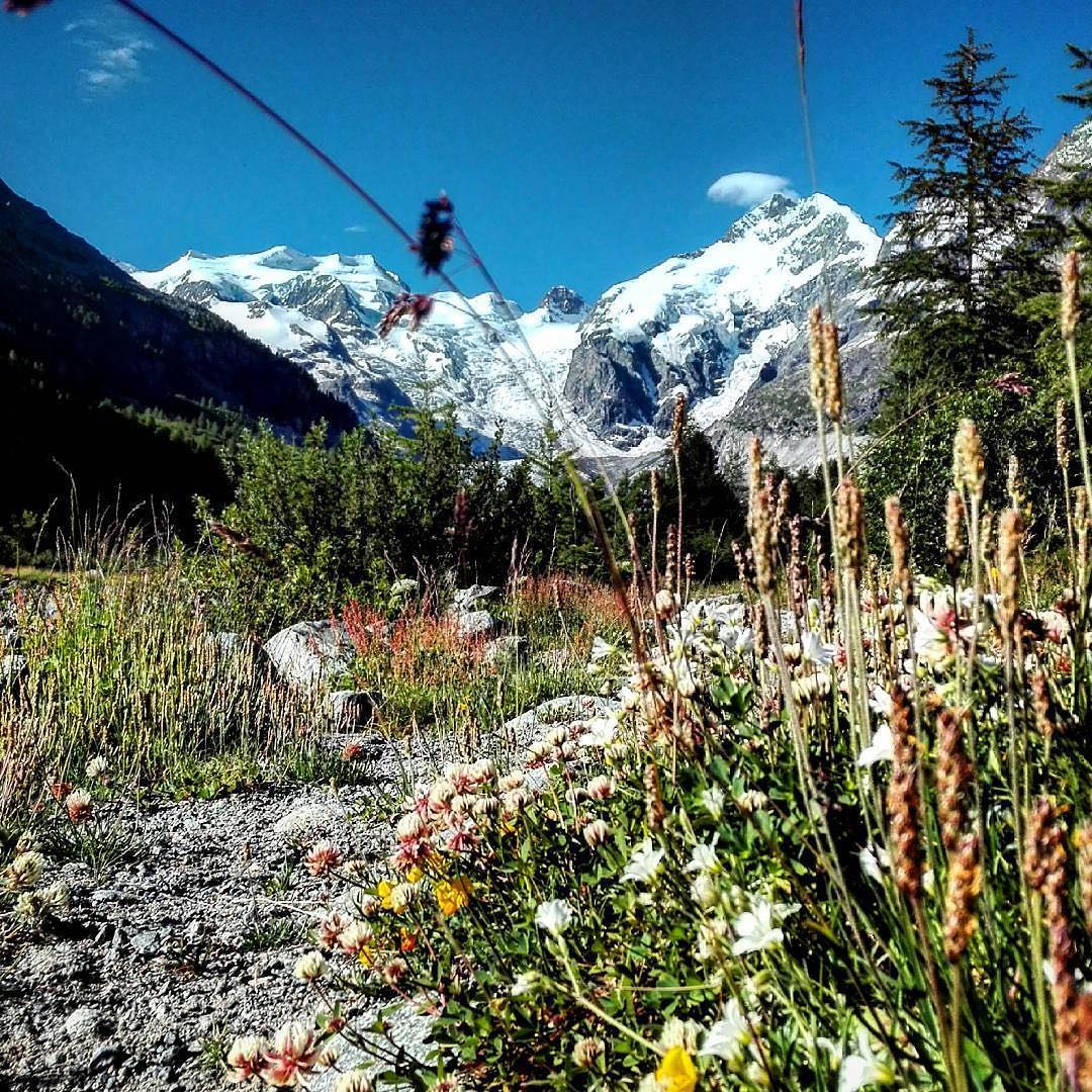 St. Moritz tweet media