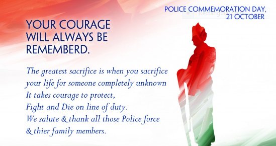 DCP SOUTH tweet media