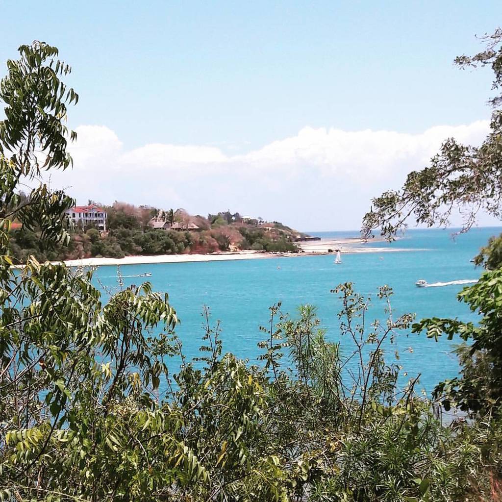 Malindi_365's tweet photo. Venue for today’s meeting. Oh dear. And the coffee is pretty good too. #kilifi #mnarani #eawl #womenineastafrica #i… https://t.co/ZMfMgx9vgL