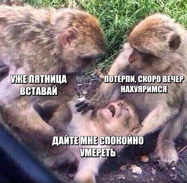 Гройсман: Наблюдательный совет "Укрзализныци" должен быть публичным и независимым - Цензор.НЕТ 6991
