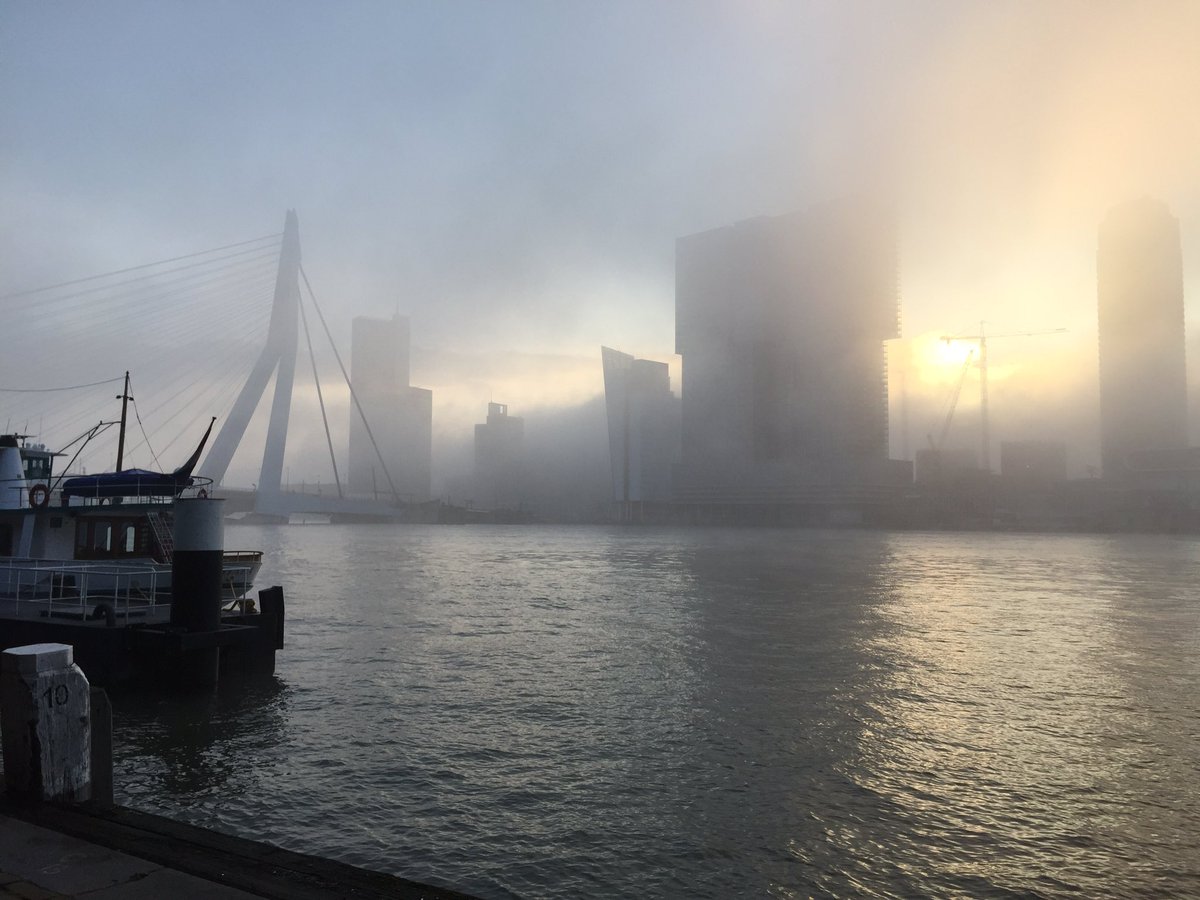 Rotterdam wat ben je weer prachtig en wat is het heerlijk om werknetten voor je te mogen maken #startjouwnetwerk