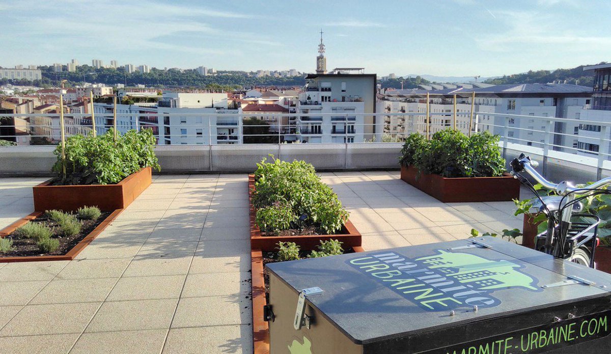 lejournaldeleco's tweet photo. Groof (Green on the Roof), l’accès au potager et à la nature en milieu urbain à Lyon - https://t.co/ehSnGEnxMW https://t.co/SuL5DB6eVa