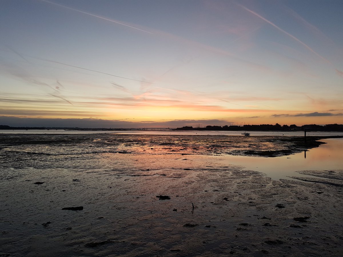 6.30am start for todays co-ordinated wild  goose chase, following their movements around the eastern Solent to inform habitat mapping.