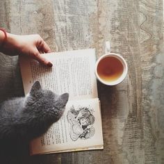 AlnoaBooks's tweet photo. What about enjoying a good book surrounded by cute little fellows? @Cuddlzbar #IESEGSMM https://t.co/bIL2Bv4pzK