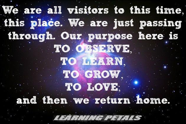 LoveForHealthyFood (@l4healthyfood) on Twitter photo 