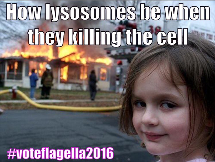 Flagella2016's tweet photo. #lphsorganelleelection2016 #voteflagella2016 https://t.co/tfBYMuaQIB