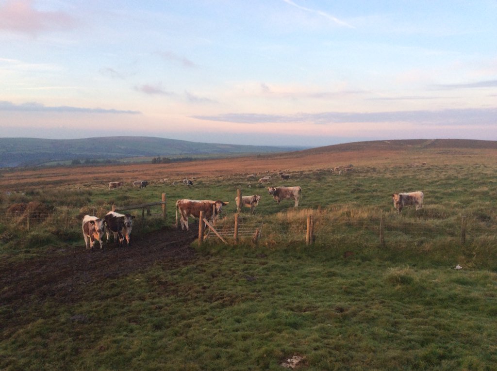 Gwaun Valley in the distance with fishguard lower town around the corner! #northpembrokeshire