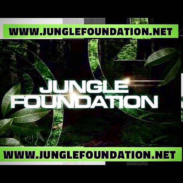 Navi4Real's tweet image. @Jungle_FDN THE ONLY exclusive Jungle download platform 👉🏾 @KemetRecordings tracks ➕ many other Labels&amp;amp;Artists etc. buff.ly/2ezbTZw