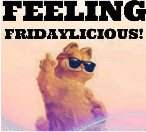 chelled74's tweet photo. Have a good Friday @GarmentGraphixs @Chris_Dickies @serialtrainer7 @DickiesEurope @Paul_WDE @Safetyboot @Becky_WDE https://t.co/ynwwO0oAqI