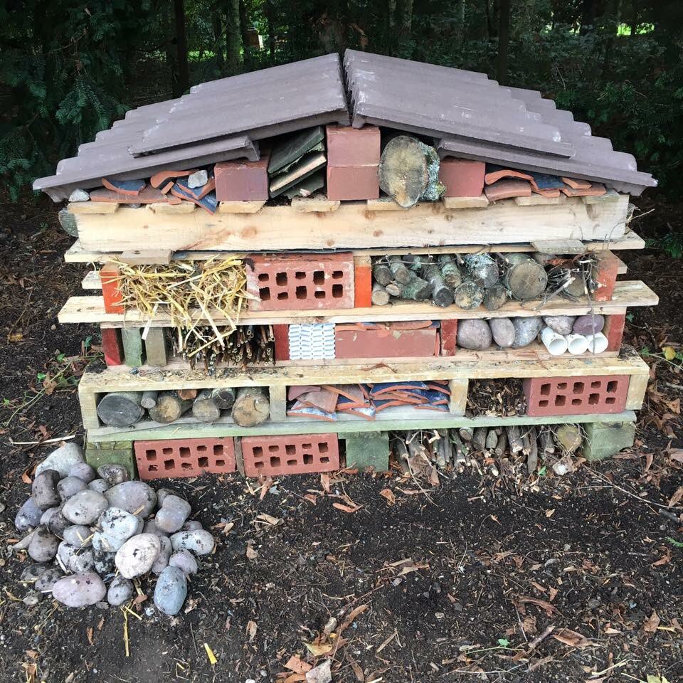 Our new bug hotel 🐜 in #TheGardensOfTheRose