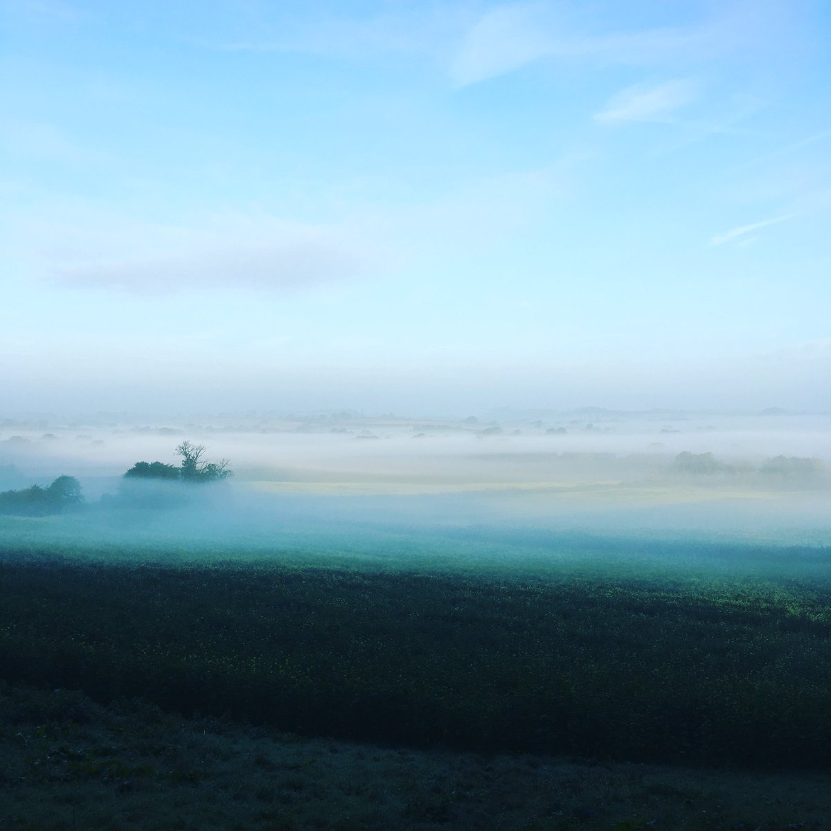 MarcusWookey's tweet photo. Hinton Saint George#dawn https://t.co/5t5zfWNG0q