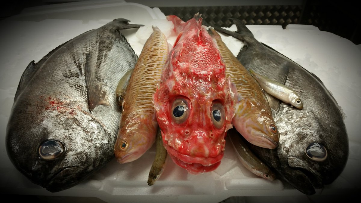 DirectSeafoodsC's tweet photo. With Halloween only round the corner why not check out what spooky fish we have available? #freshfish #directfish #eatmorefish https://t.co/l4zX4QhWcf