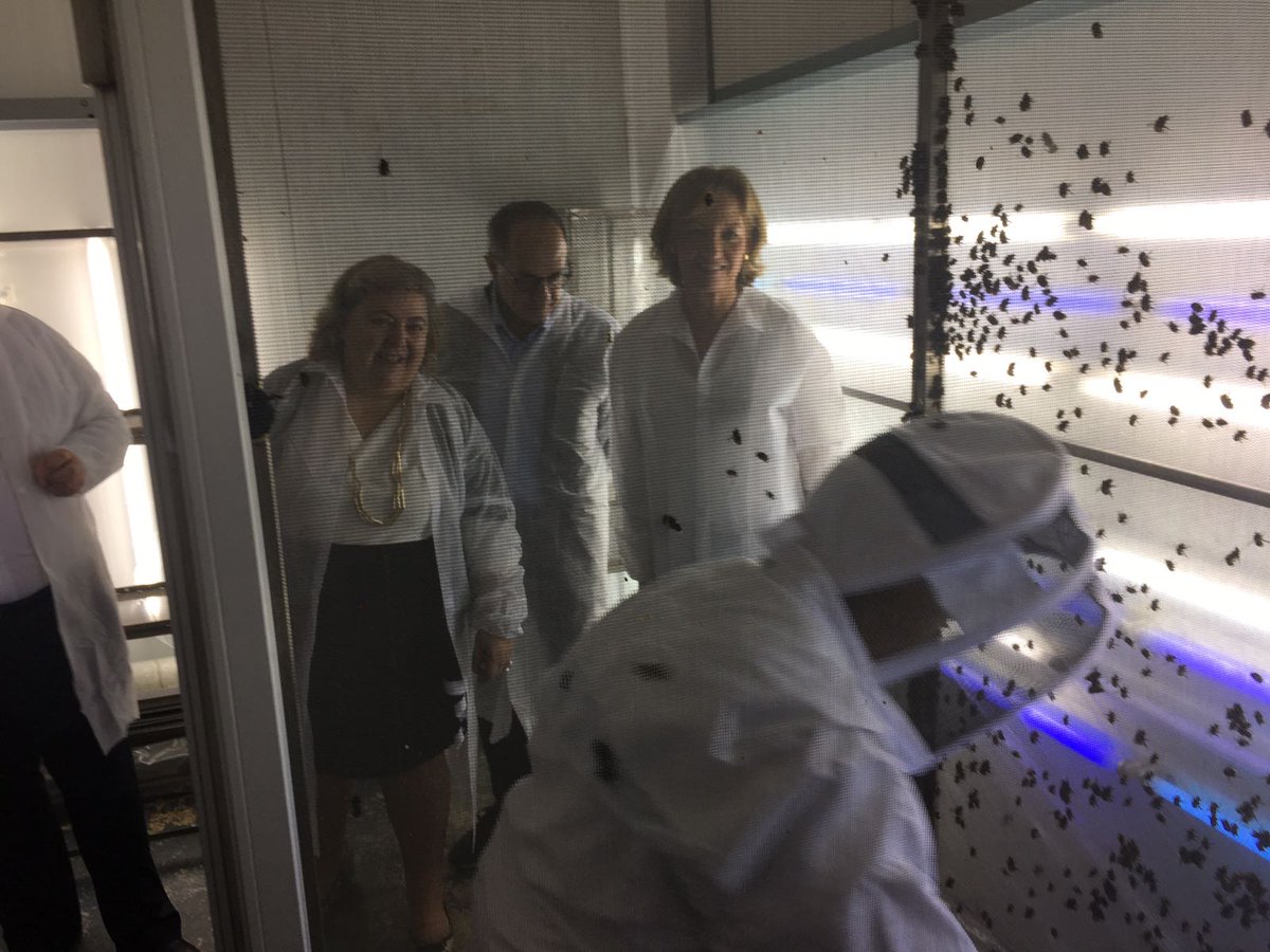 paolodecastro's tweet photo. In visita presso la AgroBio, azienda specializzata nel controllo biologico dei parassiti e in nuove tecniche di impollinazione. https://t.co/IF1qYDR9Aj