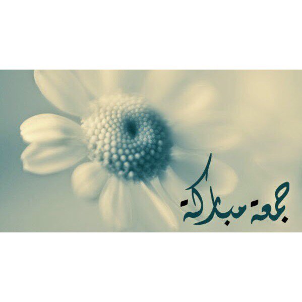 AyaTKhalife's tweet photo. #InstaSize https://t.co/rpc4lrOy9Q