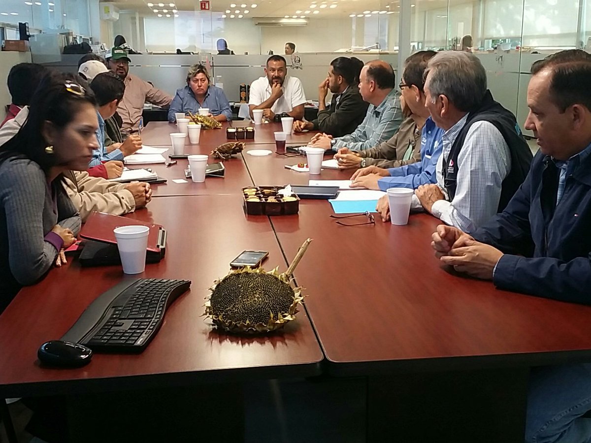 Paulo_Banuelos's tweet photo. Iniciamos este día en reunión con PepsiCo. tratando el tema de un cultivo de alternativa que ha tenido mucho éxito en Gto. que es el Girasol https://t.co/rE4lRDkmYt