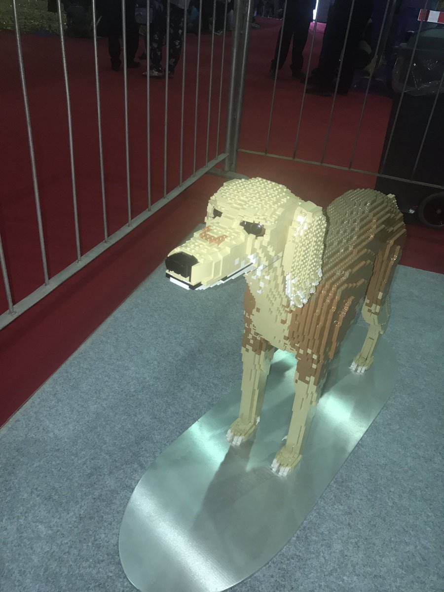 Please look at this lego dog! At <a href="/stackitevents/">Stack It Events</a> dubai