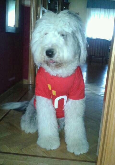 Borja Jiménez Barra tweet media