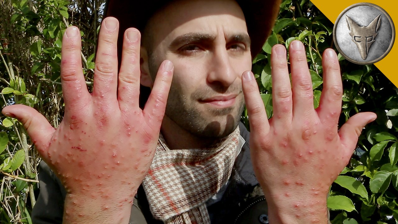 COYOTE PETERSON Twitter'da: "My WORST Insect #Stings! WATCH VIDEO