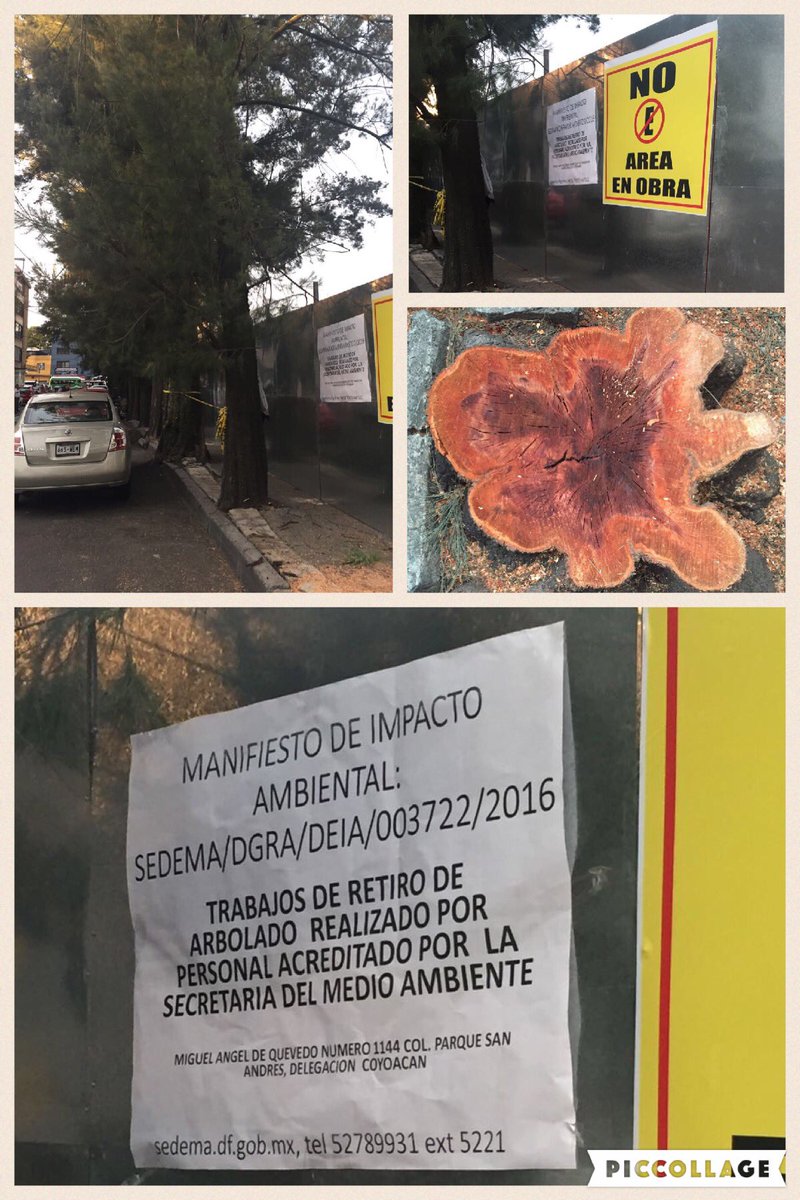 Clau Bueno tweet media