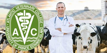 MedInterview's tweet image. Are you ready to become a Vet? AVC Veterinary Medical School Interviews start in November. careercouncil.ca