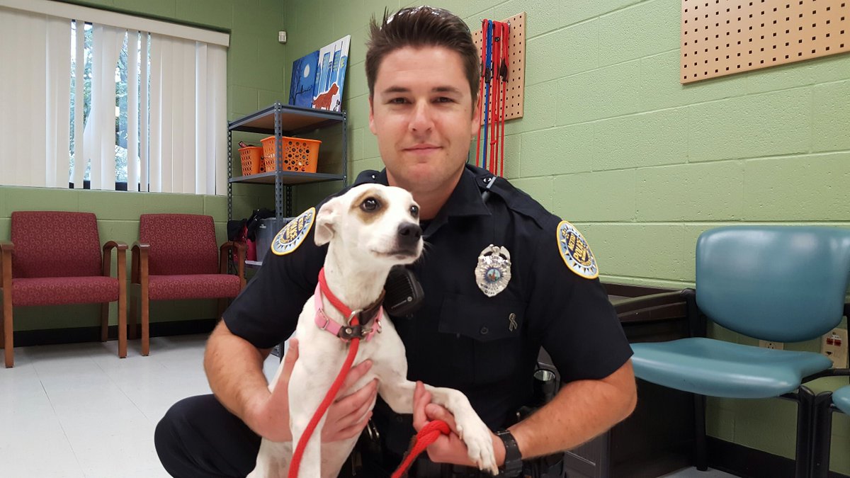 Metro Nashville Pd On Twitter Friday S Friends Officer Trey Preuett With 18 Month Old Aspen Up For Adoption At Metro Animal Control 615 862 7928 Https T Co C5iz39k94r