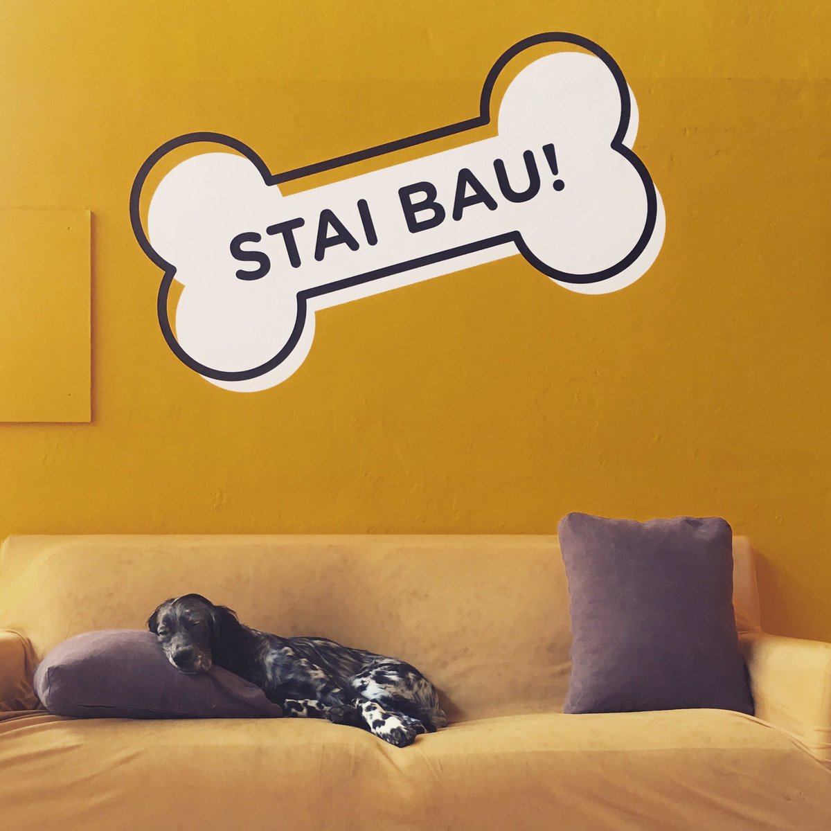 BauLoft's tweet photo. Thank God it's friday #staibau @BauLoft @BlueInLoveWLife @TelliniMassim @lazampa @ClaGhiz @FataAmicisetter https://t.co/HAGn8cTBGz