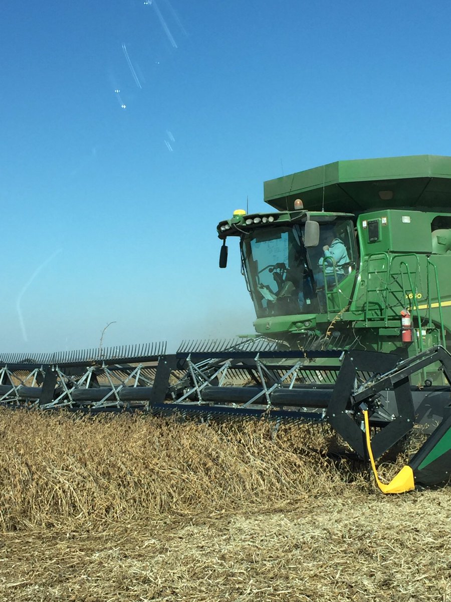 Geringhoff's tweet image. @StineSeed Farms like a closely shaven field with the @Geringhoff #TruFlexRazor!