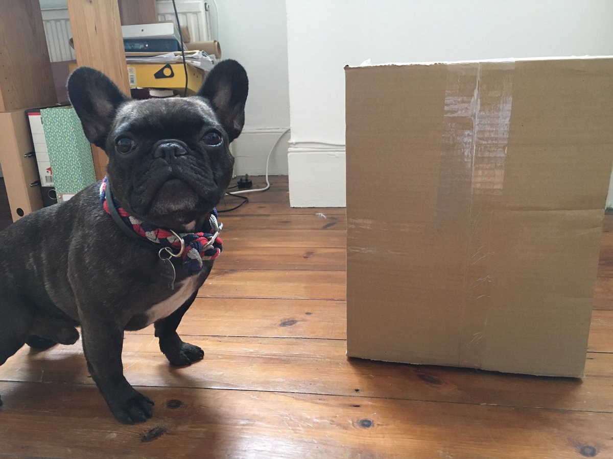 tcdhackney's tweet photo. The first box of presents has arrived! Thank you to everyone who's given so far π
#HCD16 https://t.co/X1ot0rpHLN
