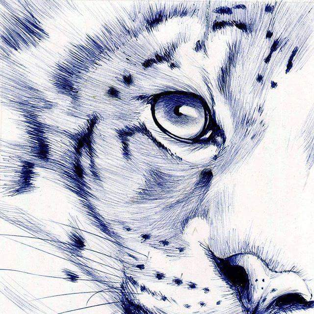 lebourhis_micha's tweet photo. Grouah 😻🐯🐯😻 #Youx https://t.co/Epm7NuiuOw