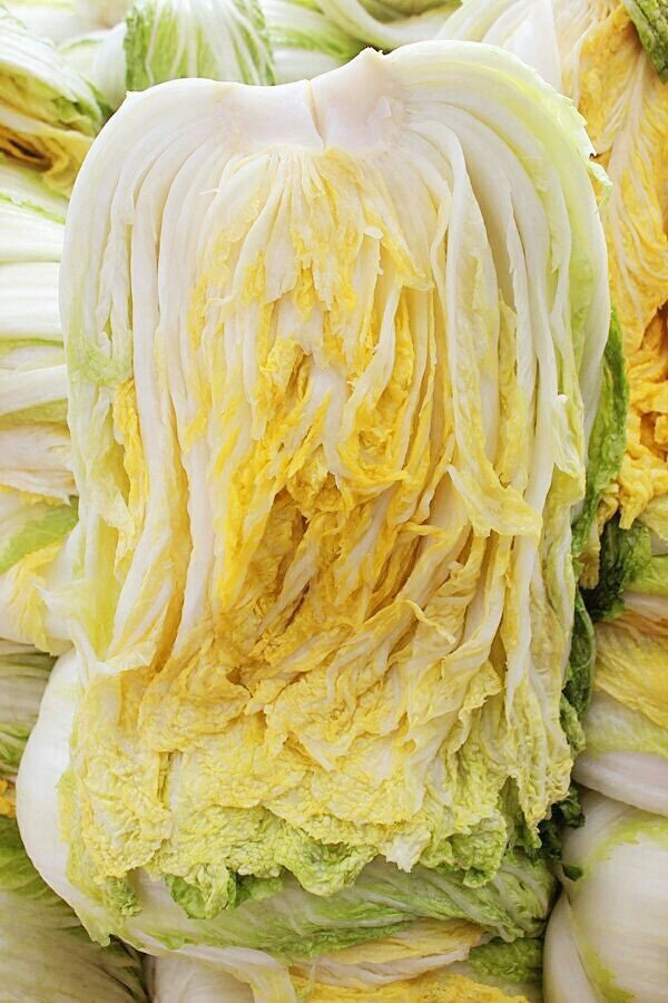 *충북 음성특품절임배추
20키로 7-8포기 34.000원 무료배송
11월 3일부터 발송 드립니다.
010-4939-1147