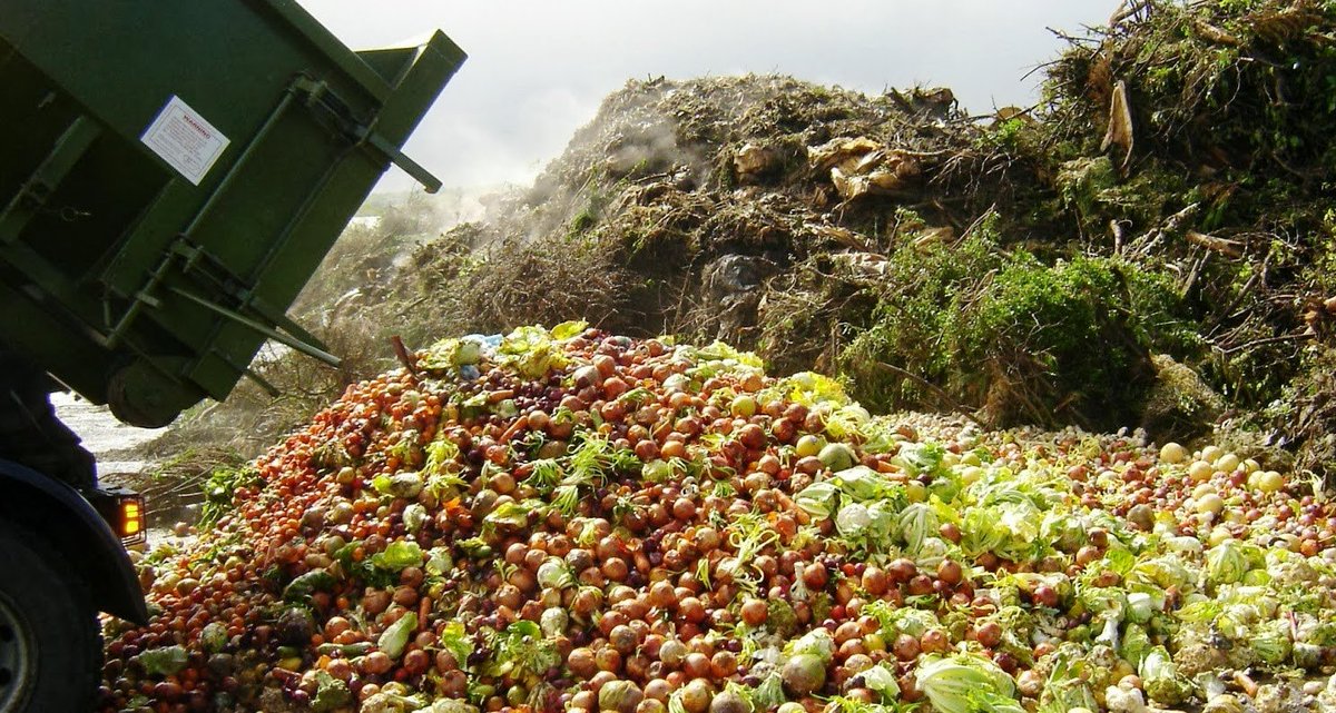 AMSProduceSum's tweet photo. #APS16 Seminar: 'Reducing #FoodWaste is no pipe dream' argued by Joost Snels of @WUR, 3rd Nov #CelebratingFRESH #Education #Knowledge https://t.co/2psje6Orr6