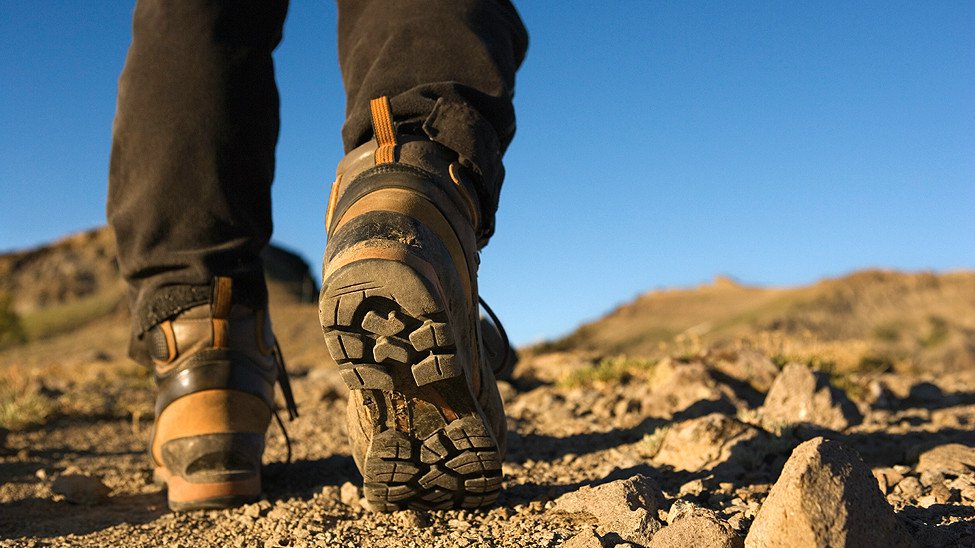 Barcelona es mucho más que sólo edificios, disfruta de la naturaleza que nos rodea y descansa en <a href="/CampanileBCNSud/">Campanile Cornella</a>
