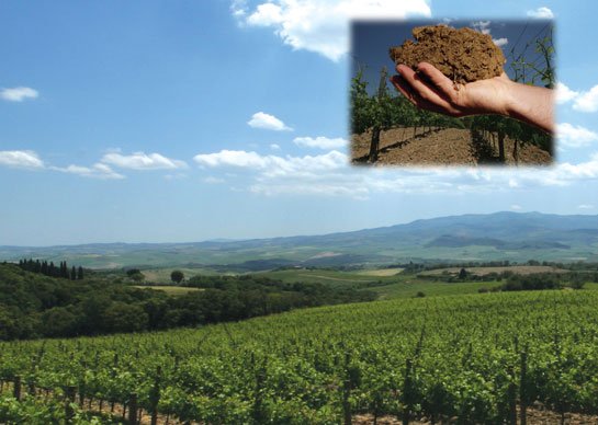 TwitItalianWine's tweet photo. #Cantine #Goretti : da sempre state all’avanguardia sul fronte della #tutela #ambientale
@vinigoretti   #vinigoretti https://t.co/032OQjY4aj