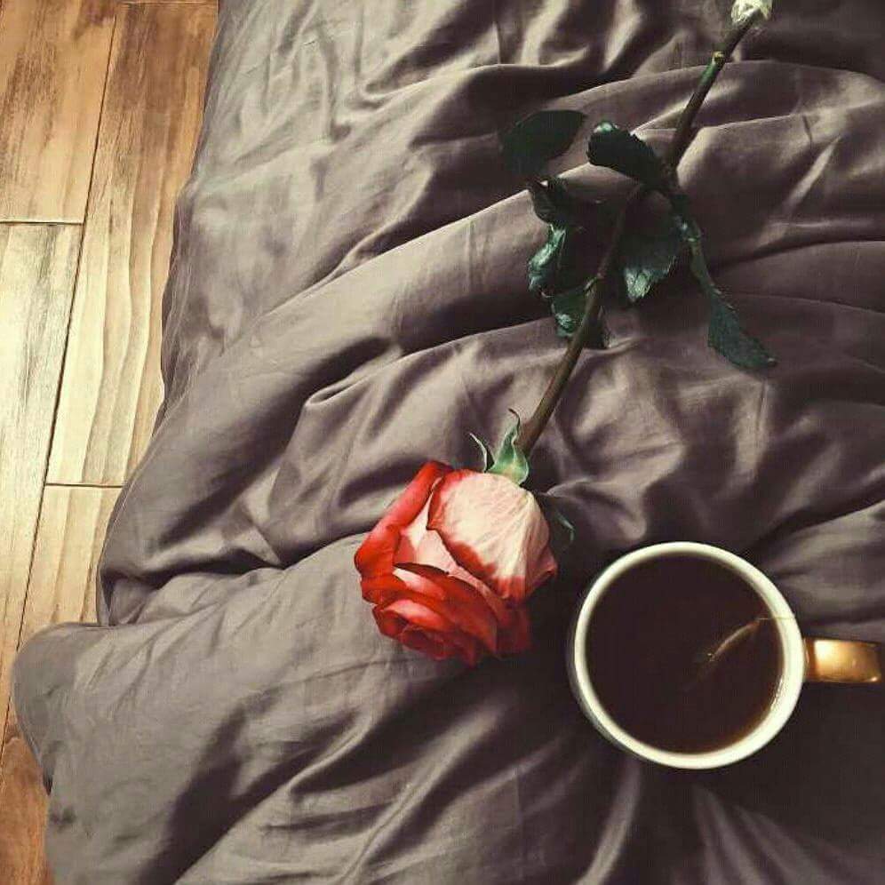 جميل أن يخُصكَ أحدهُم بأشياء دون اﻵخرين فقط ليثبت لـك أنك بالنسبة لهُ شَيء مُختلف