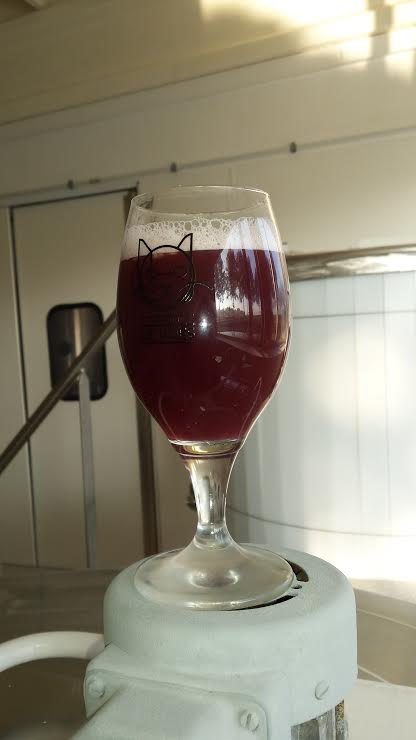 De Poes Kriek - experimental Batch Nr. 1 - ready! Rubyread, 9 % Alcohol, aged 1 year on Oak Barrel <a href="/brijdepoes/">Brouwerij De Poes</a>