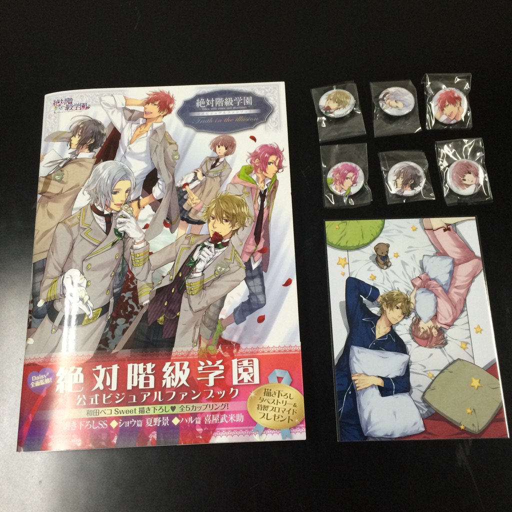 絶対階級学園 公式ビジュアルファンブック 中古】アニメムック ≪乙女