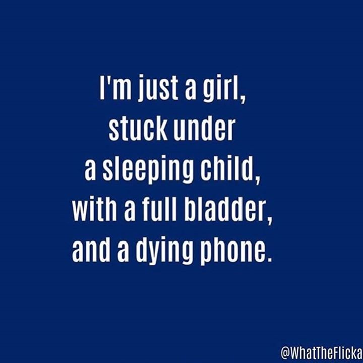 CanDoKiddo's tweet photo. https://t.co/cpu18Uog3K