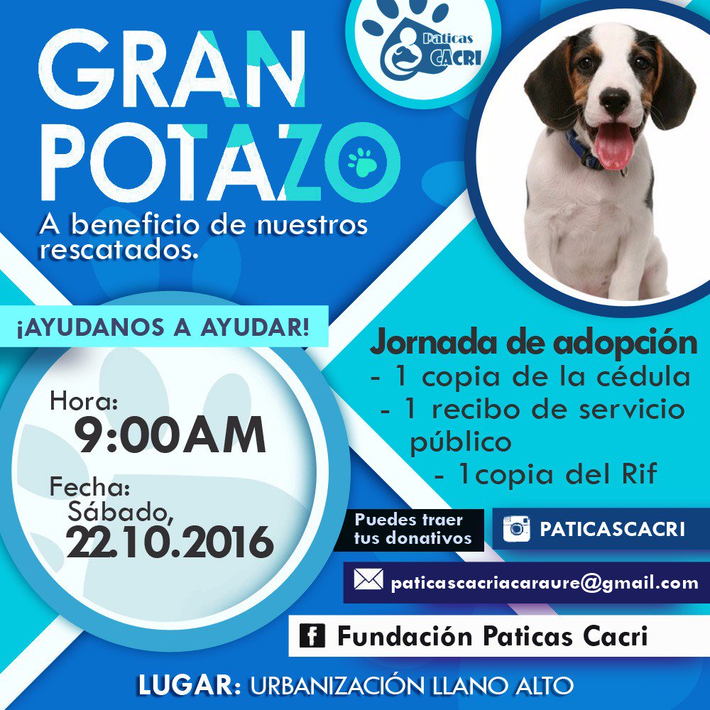 PaticasCacri's tweet photo. Te Esperamos este Sábado en URB. Llano Alto.Ayudanos a seguir con esta labor. Potazo a beneficio de nuestros peludos https://t.co/YGLJhrsgbD