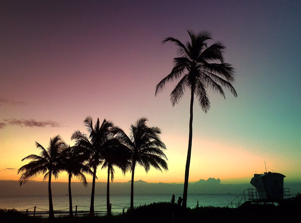 Fort Lauderdale Sun tweet media
