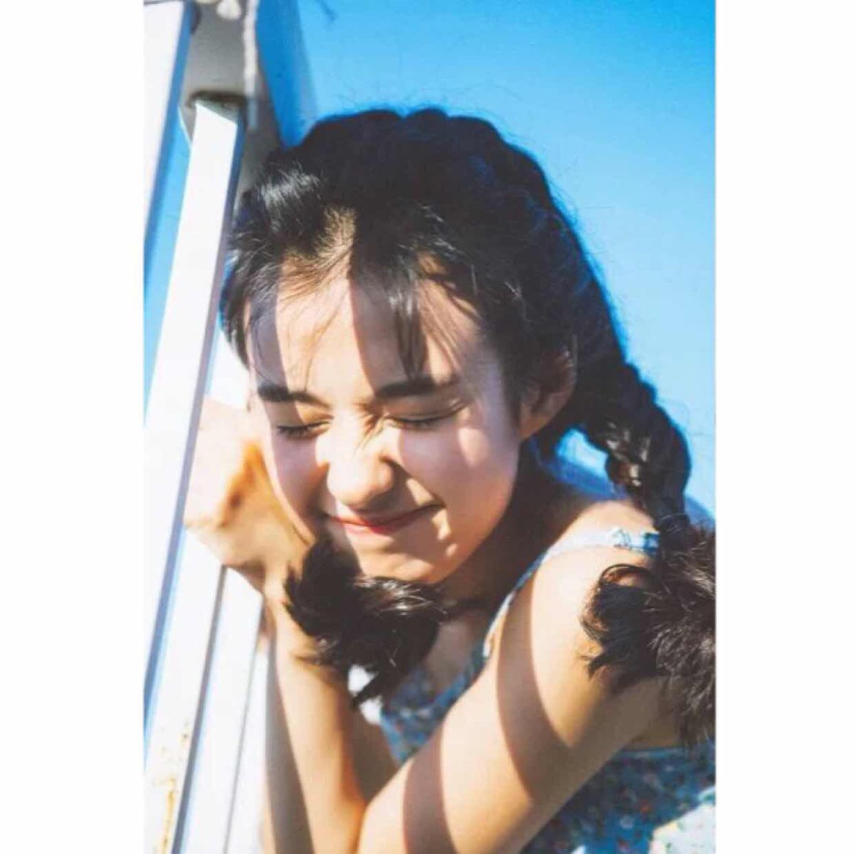 elephantlcd's tweet image. New life