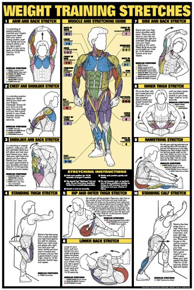 AHealthBlog's tweet photo. Lower the intensity and reduce the amount of time of warm ups to reduce #muscle fatigue ➡ https://t.co/9AQecPeYaO https://t.co/X0crfdGjvs