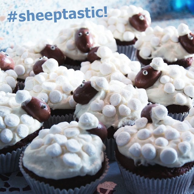handy_games's tweet photo. #Sheeptastic #Muffinsandsheep ๐๐๐
We have something to #celebrate! Great #Clouds & #Sheep #News coming soon! ๐
Have a nice #weekend! https://t.co/dRTlxqGAmt