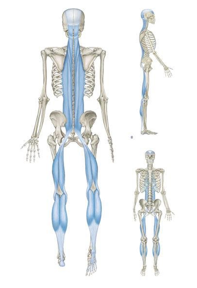 robertobarronpt's tweet photo. FASCITIS PLANTAR. VALORACION SENCILLA DE LA PROBLEMÁTICA Y PROPUESTA https://t.co/NFIq3Shj6N #CommonSenseTraining https://t.co/5Wfc4hOog2