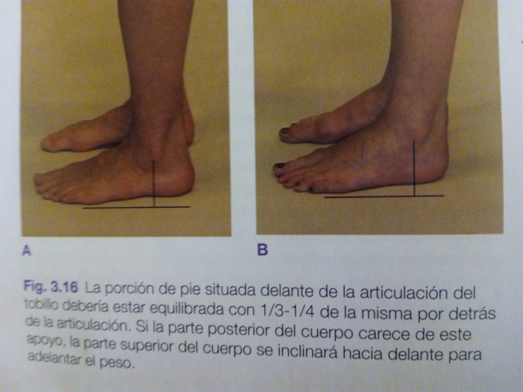 robertobarronpt's tweet photo. FASCITIS PLANTAR. VALORACION SENCILLA DE LA PROBLEMÁTICA Y PROPUESTA https://t.co/NFIq3Shj6N #CommonSenseTraining https://t.co/5Wfc4hOog2